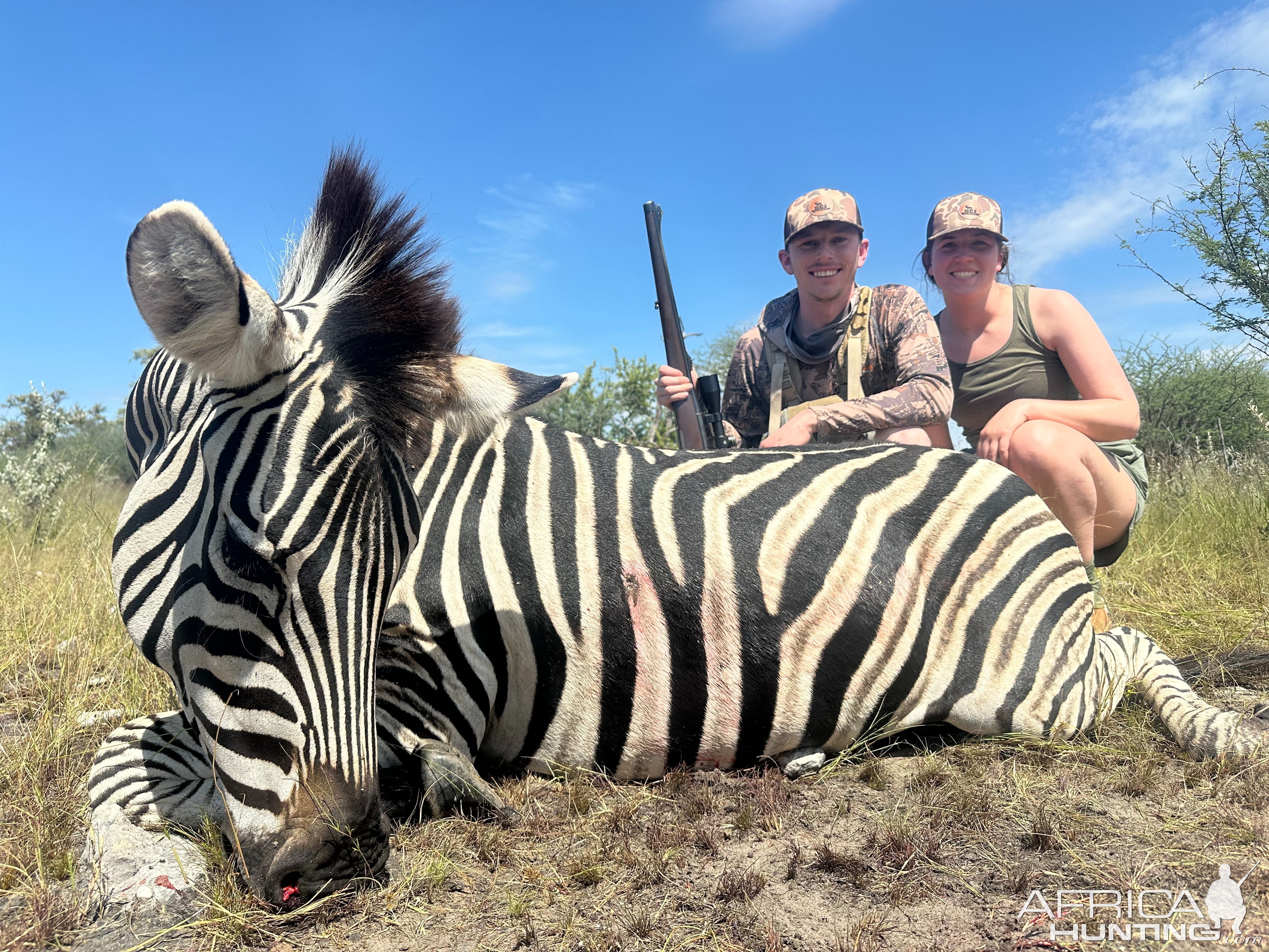 Zebra Hunt Botswana