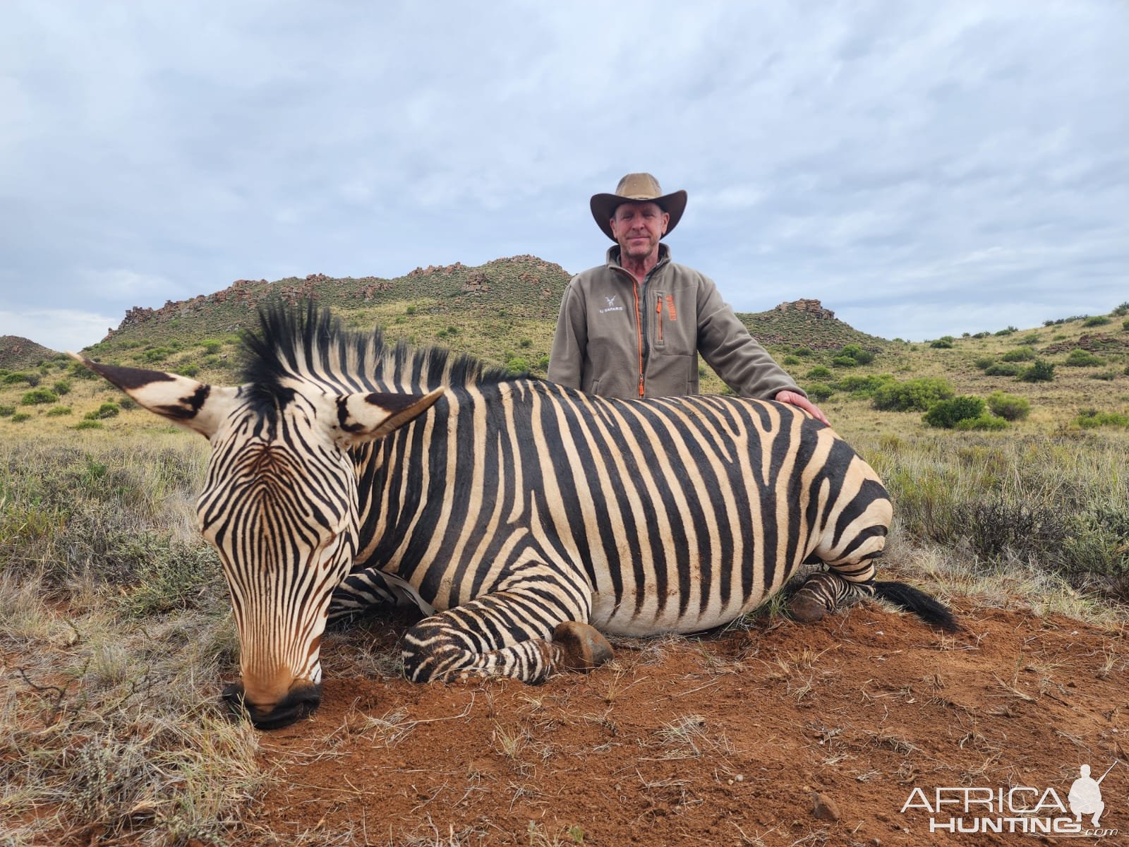 Zebra Hunt Eastern Cape South Africa