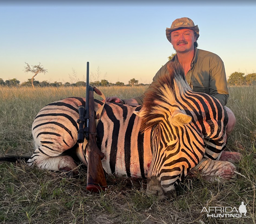 Zebra Hunt Namibia