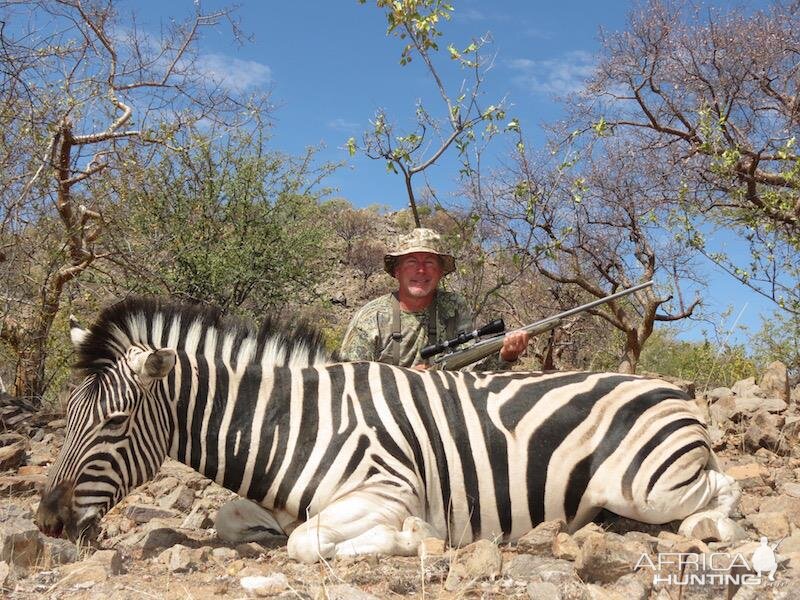 Zebra Hunt Namibia