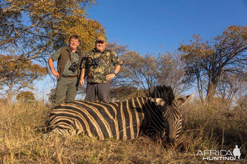 Zebra Hunt South Africa