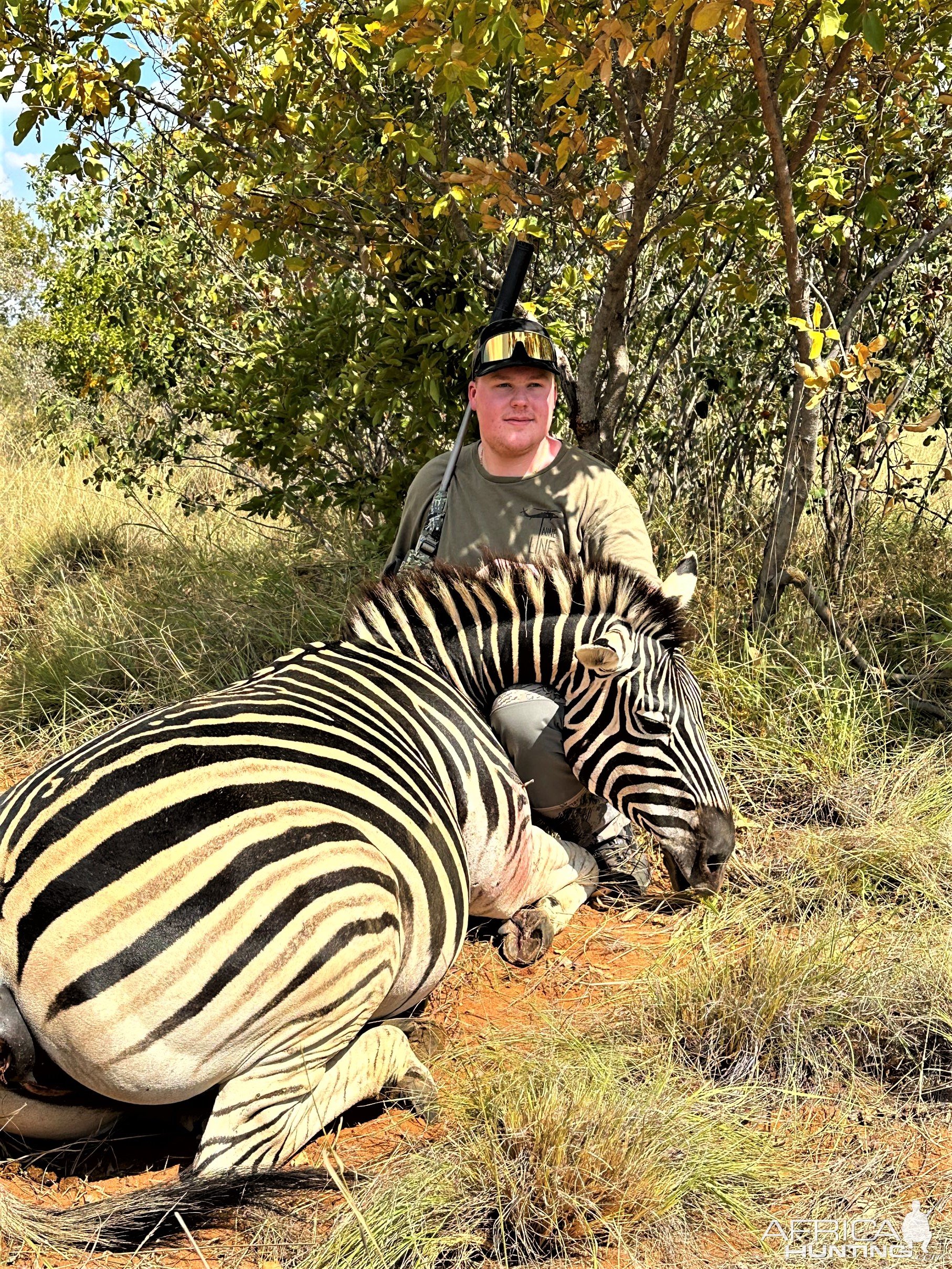Zebra Hunt South Africa