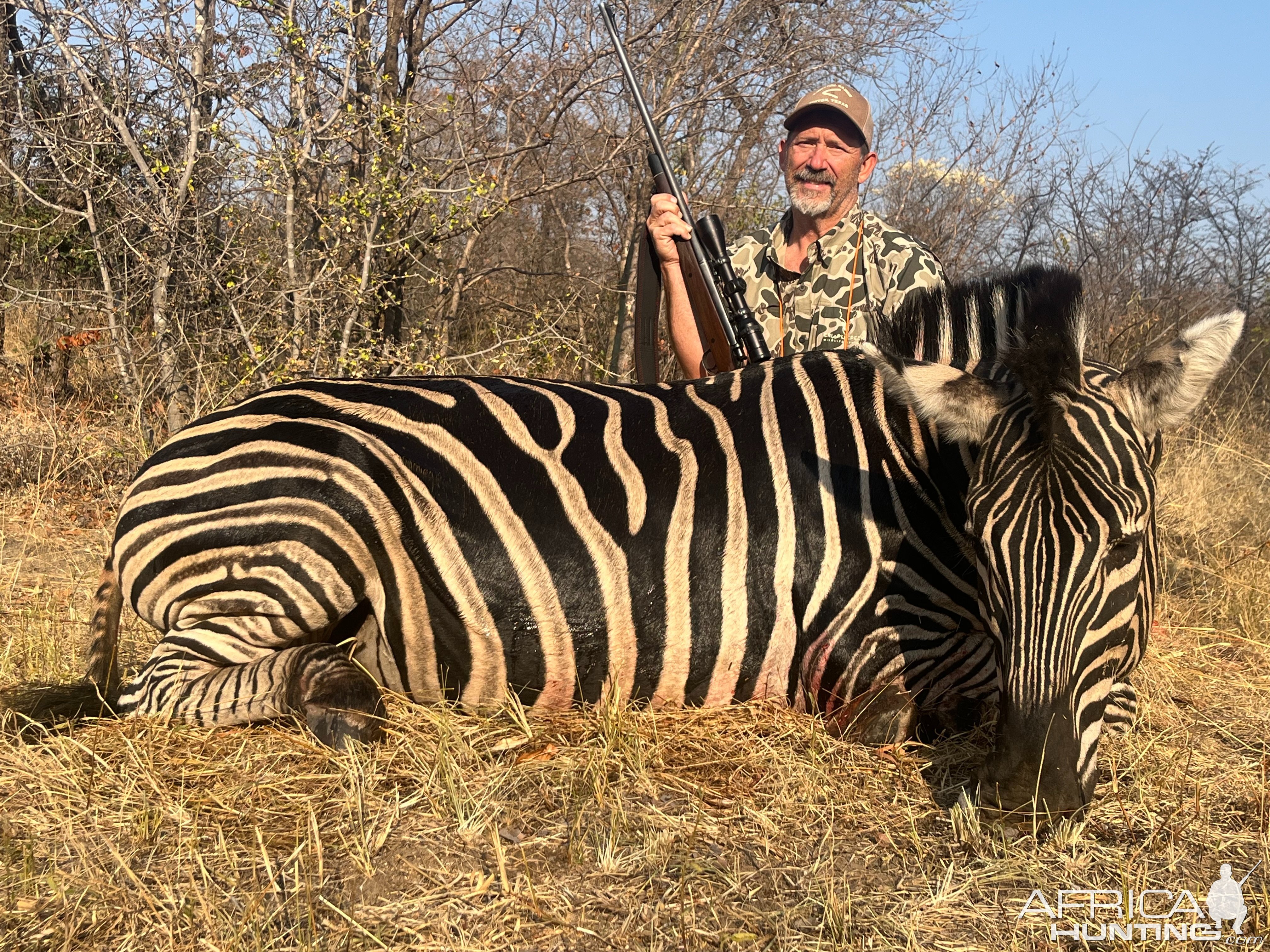 Zebra Hunt Zimbabwe
