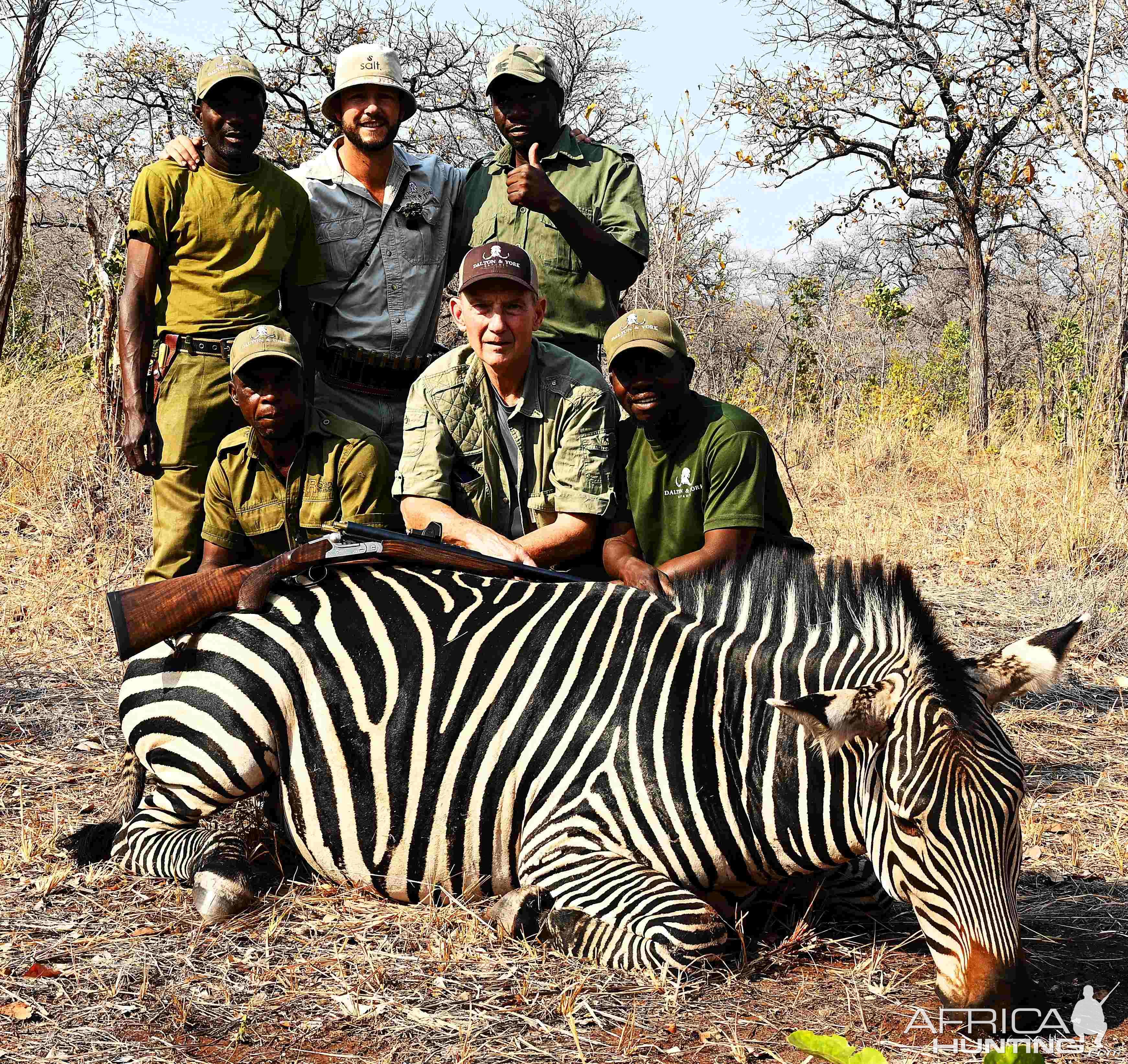 Zebra Hunt Zimbabwe