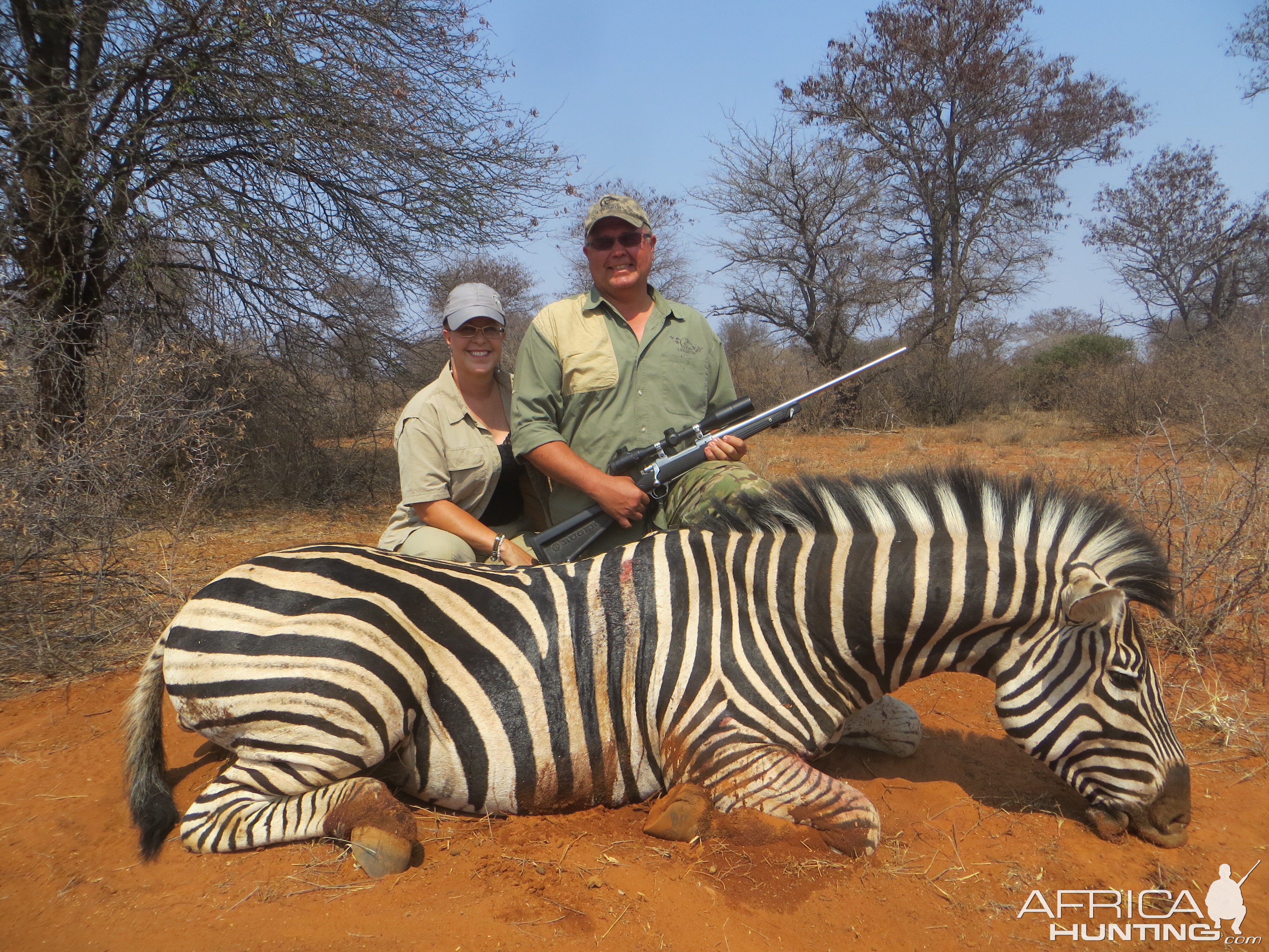 Zebra hunted at Limcroma Safaris