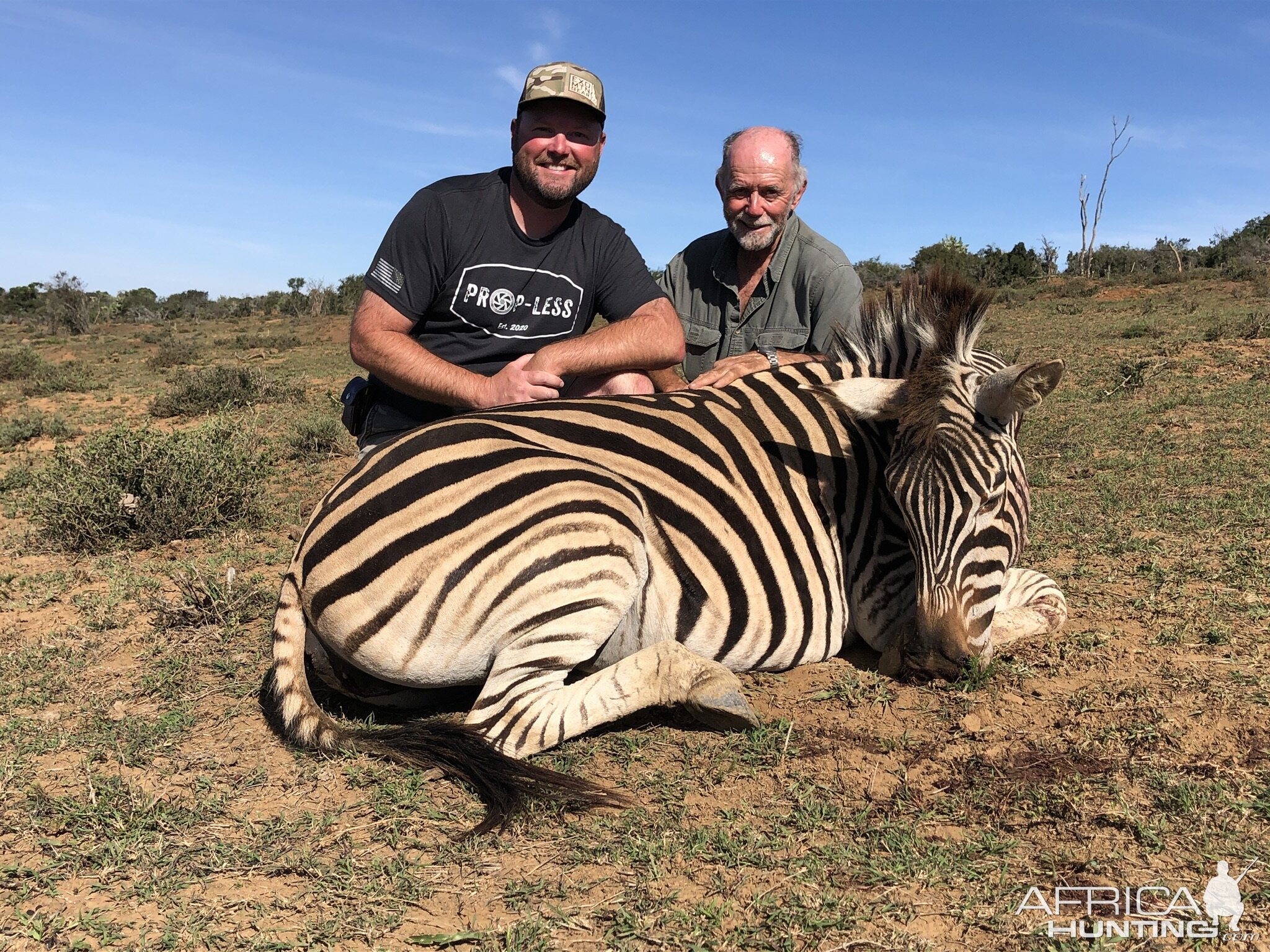 Zebra Hunting Eastern Cape South Africa
