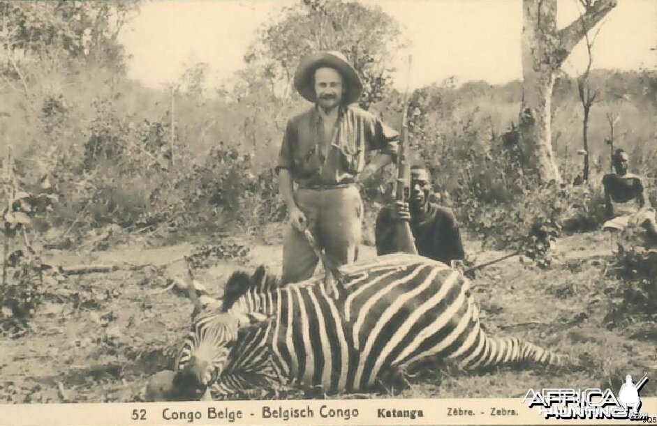 Zebra Hunting in Congo