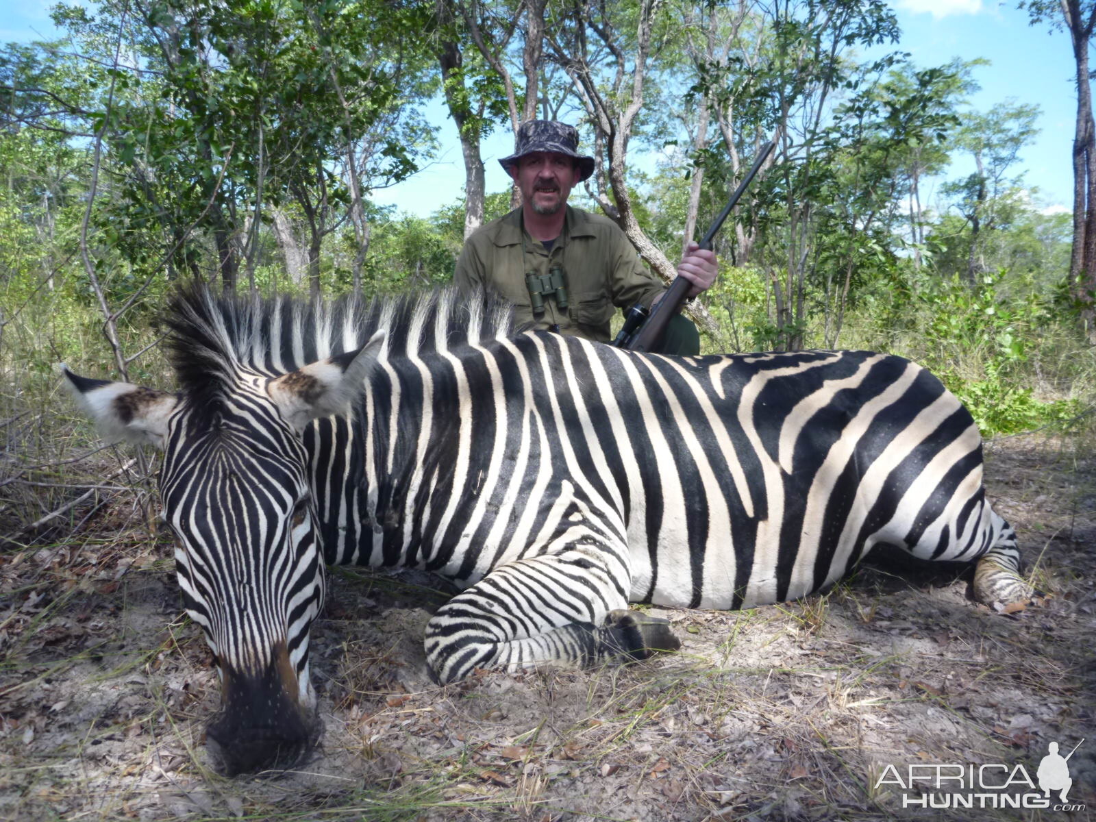 Zebra Hunting in Zimbabwe