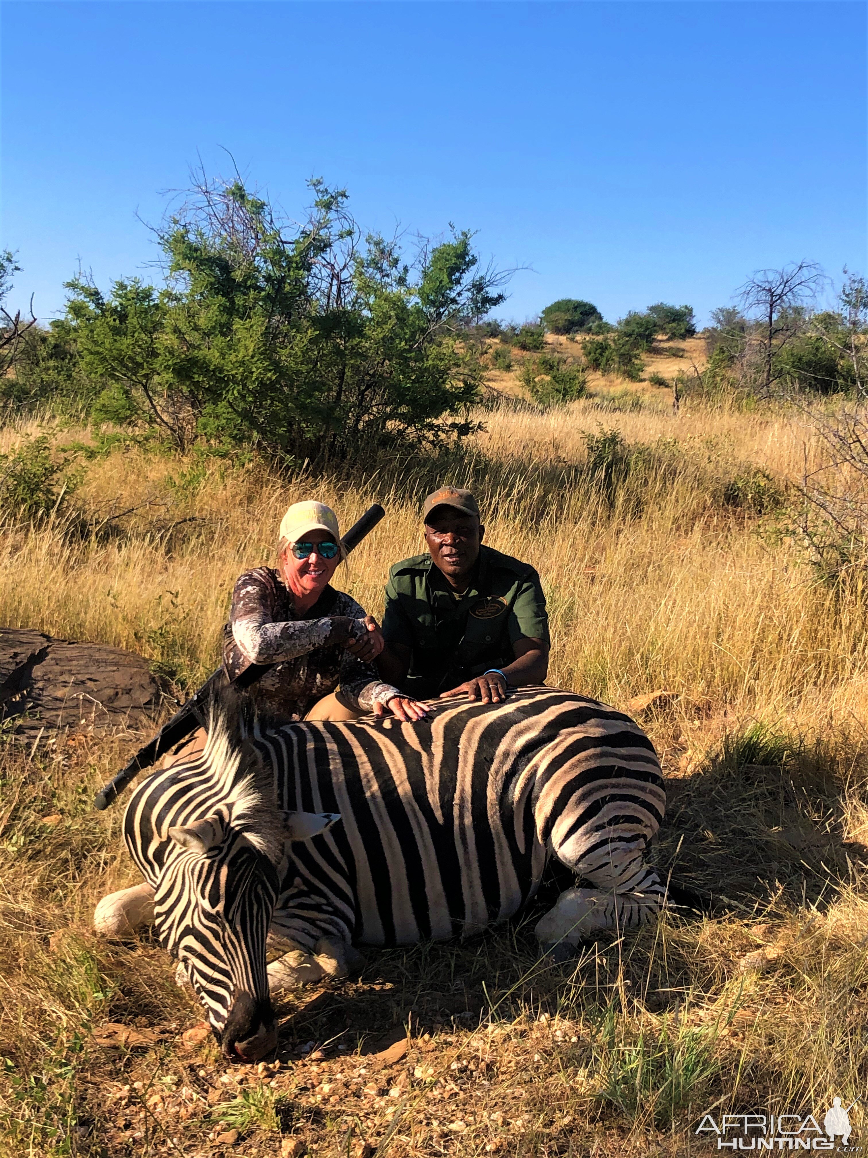 Zebra Hunting Namibia