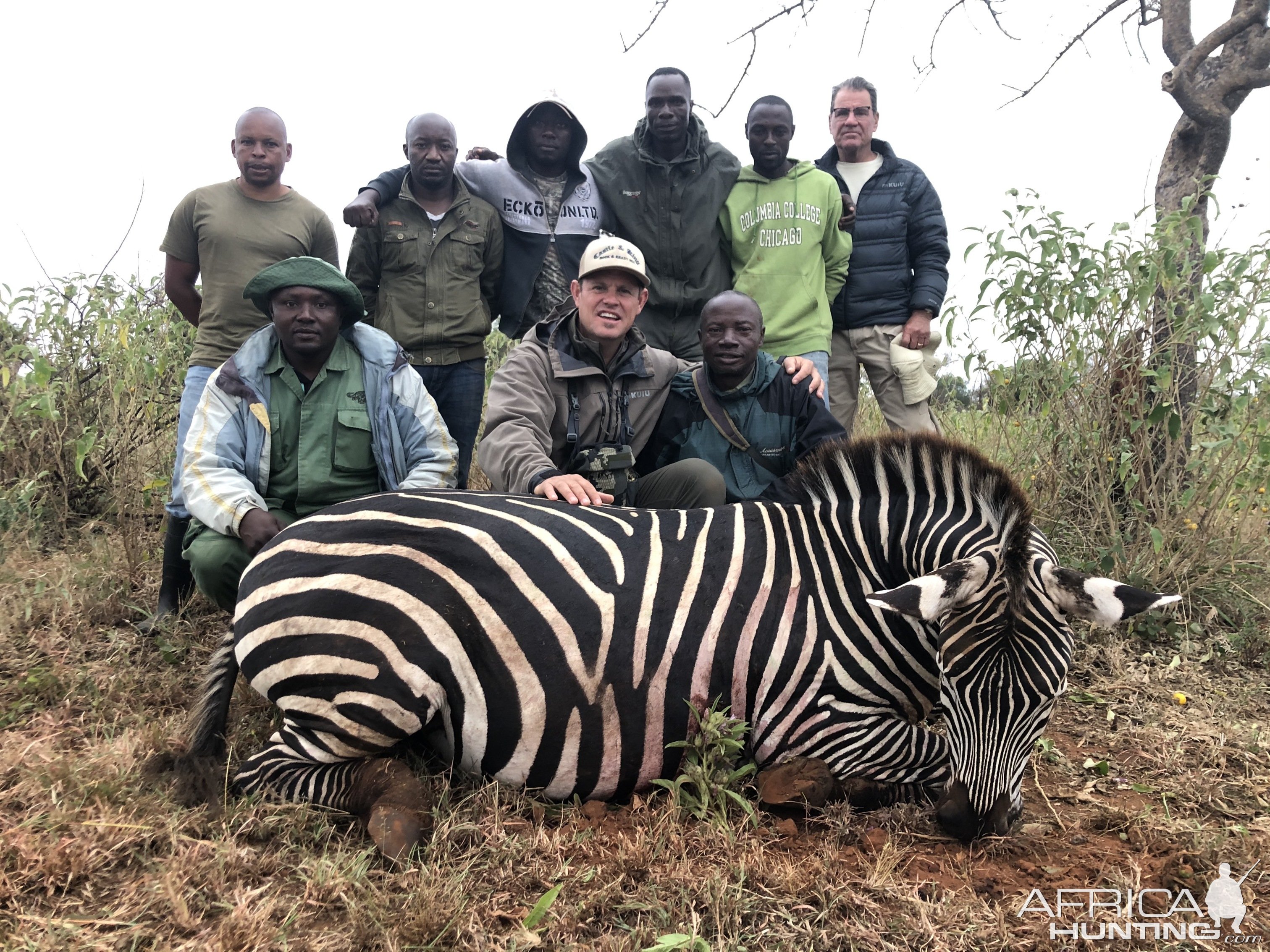 Zebra Hunting Tanzania