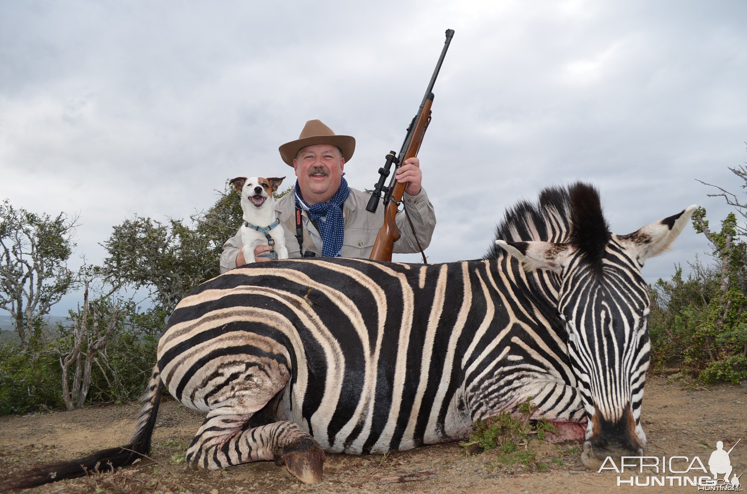 Zebra KMG Hunting Safaris