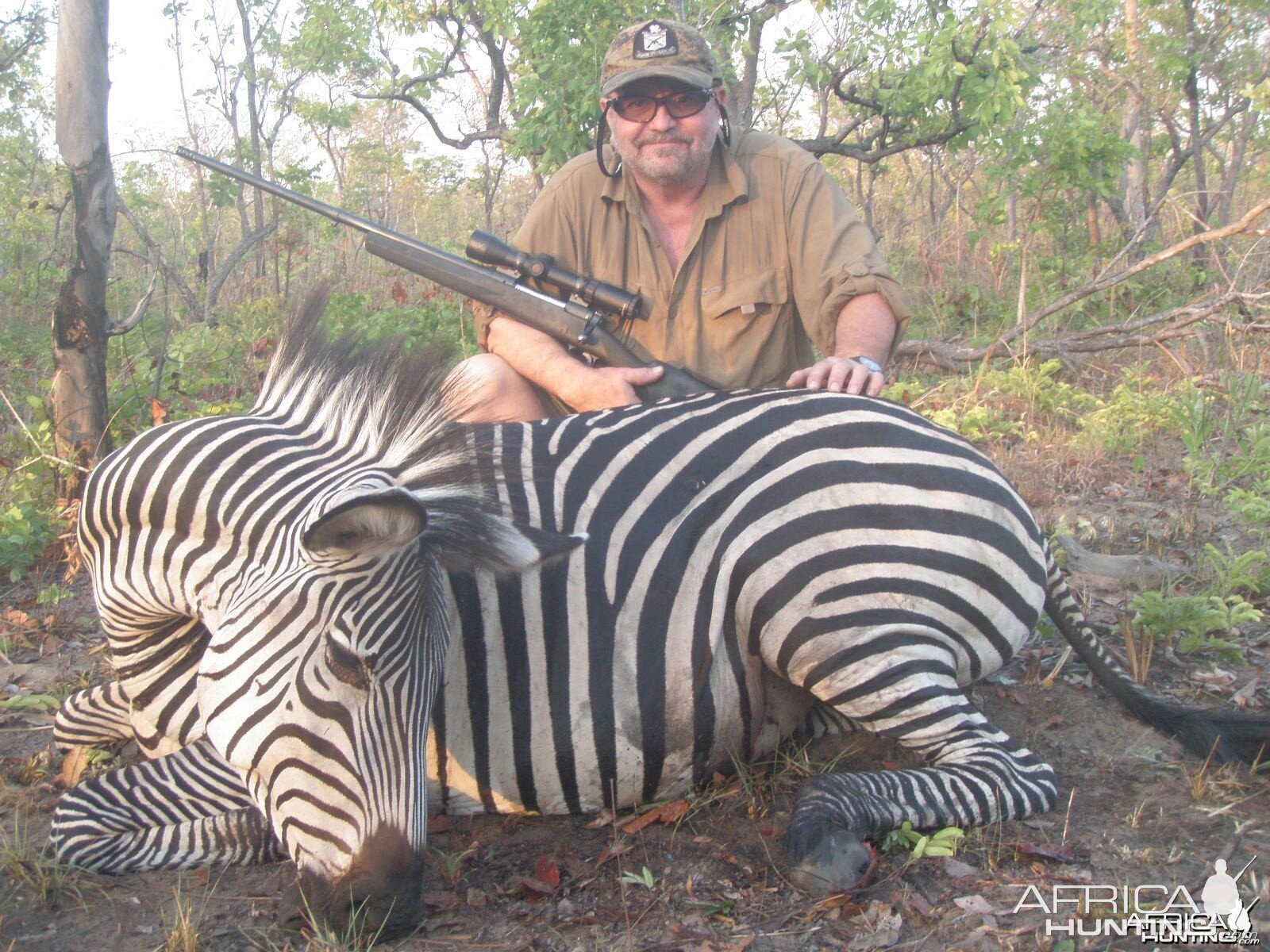 Zebra Mozambique