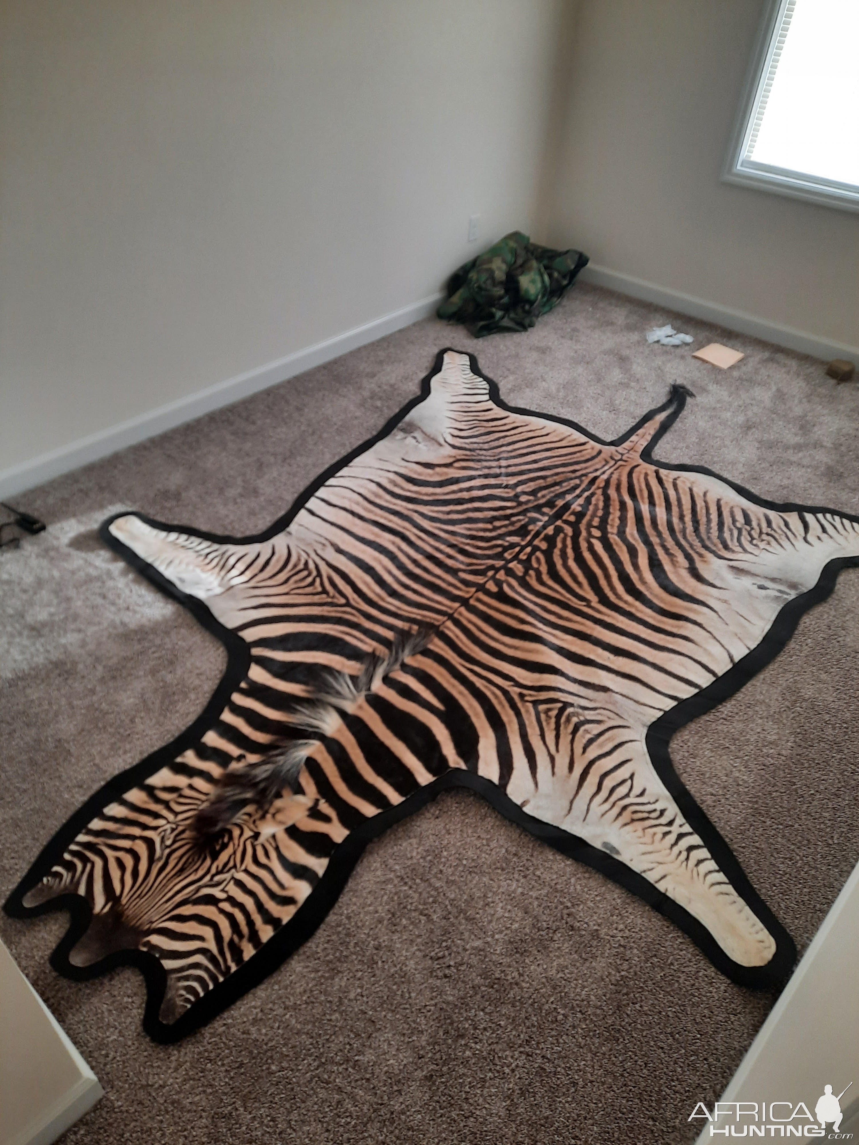 Zebra Rug