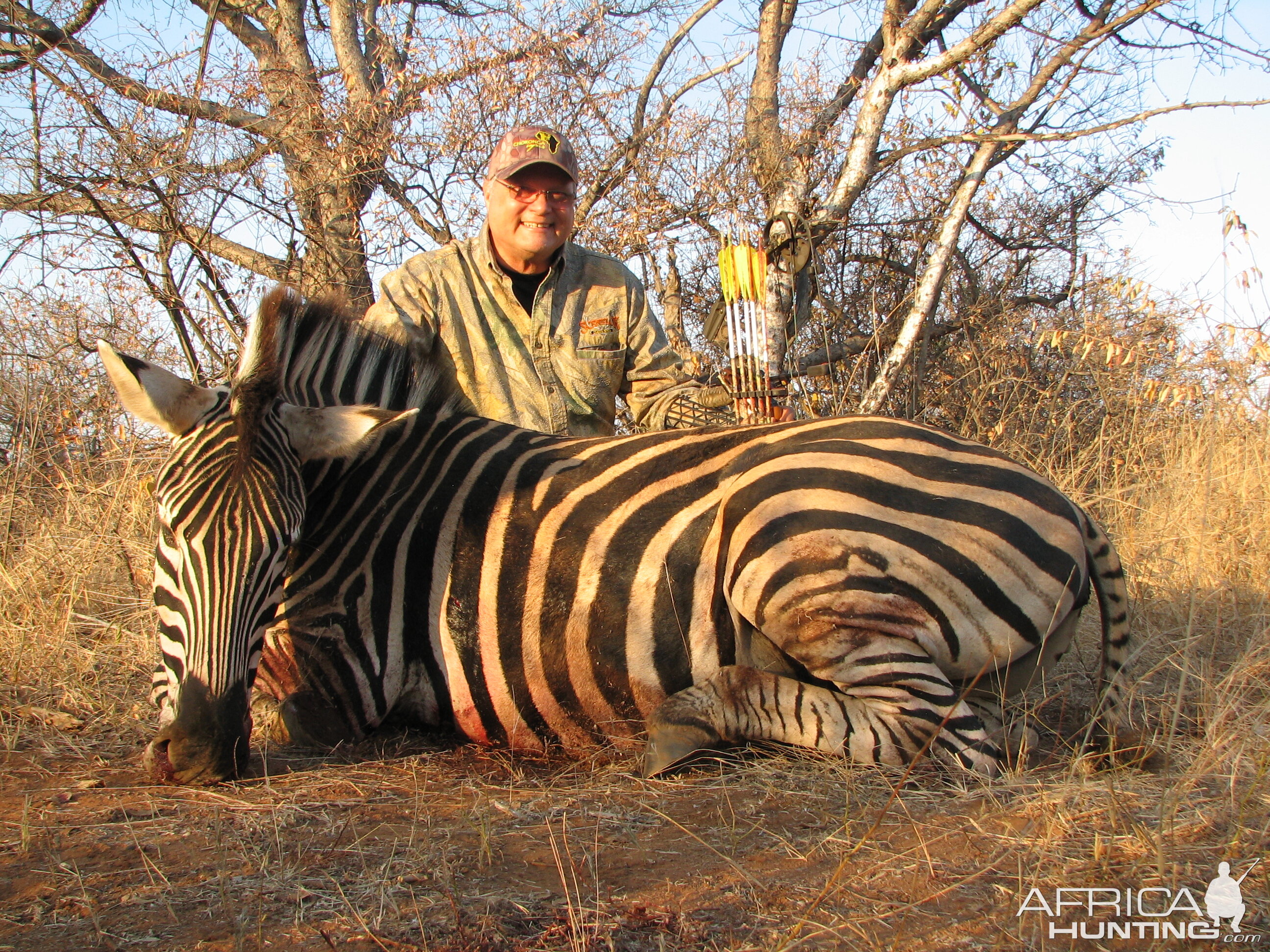 Zebra with Choronga Safaris