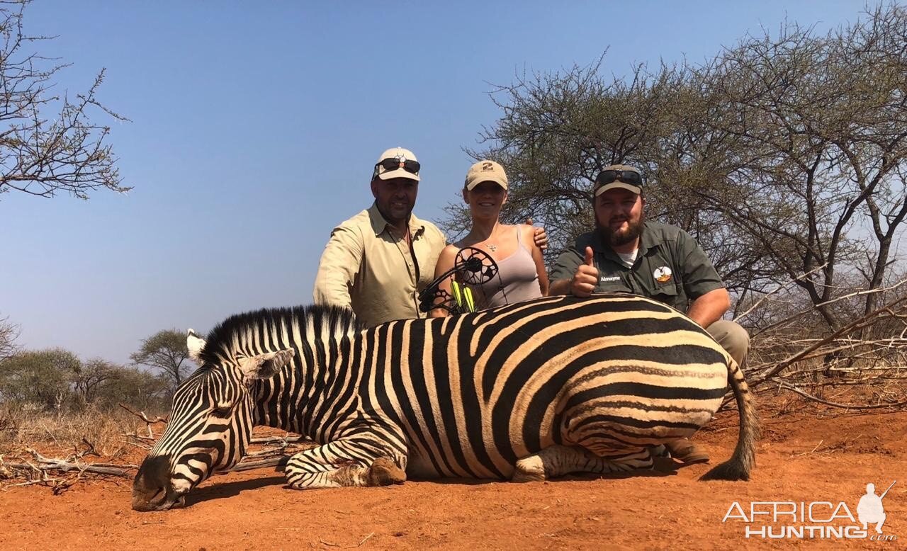 Zebra