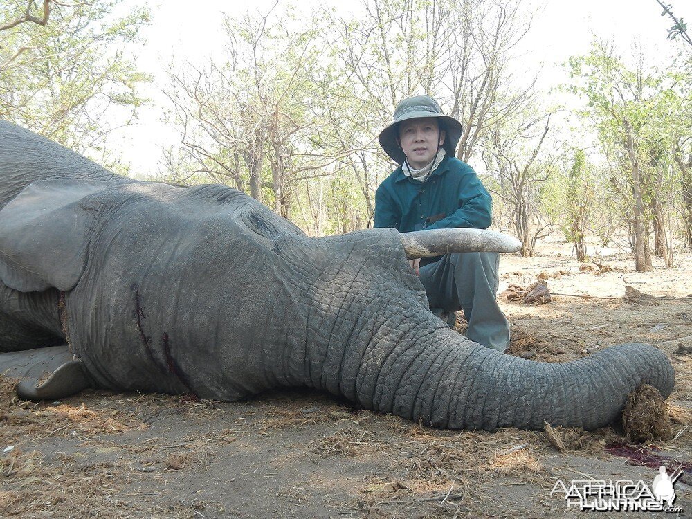 Zimbabwe 2012 3rd Elephant