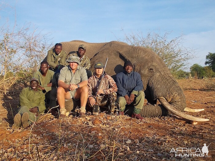 Zimbabwe Elephant Hunting