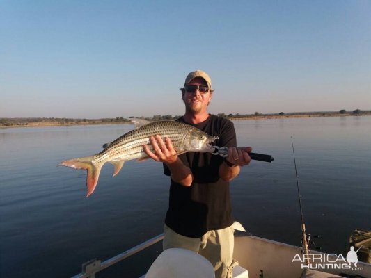 Zimbabwe Fishing Tiger Fish