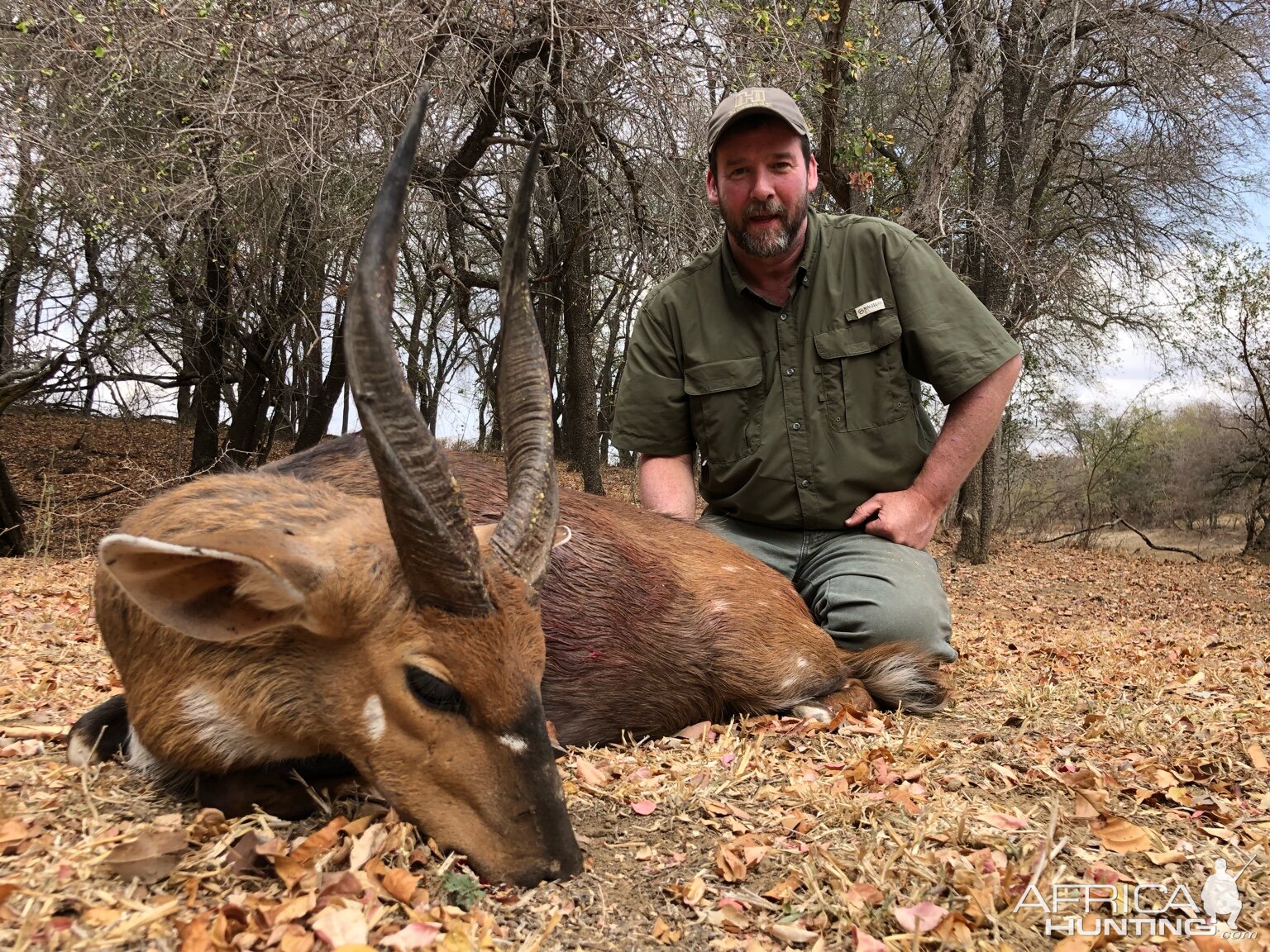 Zimbabwe Hunt Bushbuck