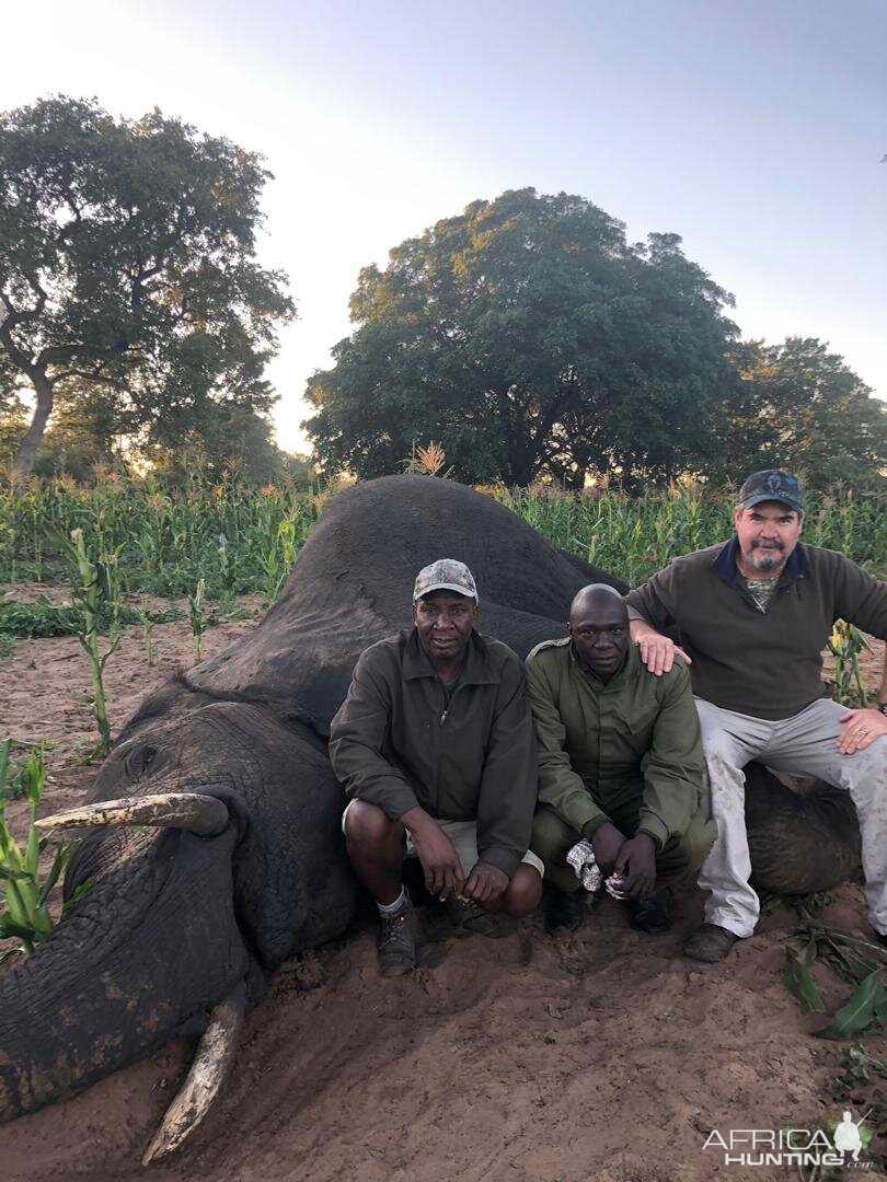 Hunting Zimbabwe & South Africa With NYAMAZANA SAFARIS While Enjoying A