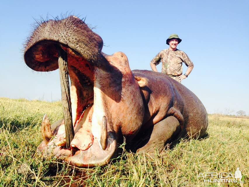 Zimbabwe Hunt Hippo