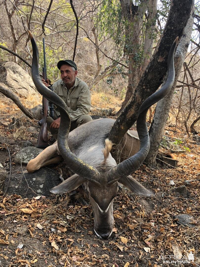 Zimbabwe Hunt Kudu