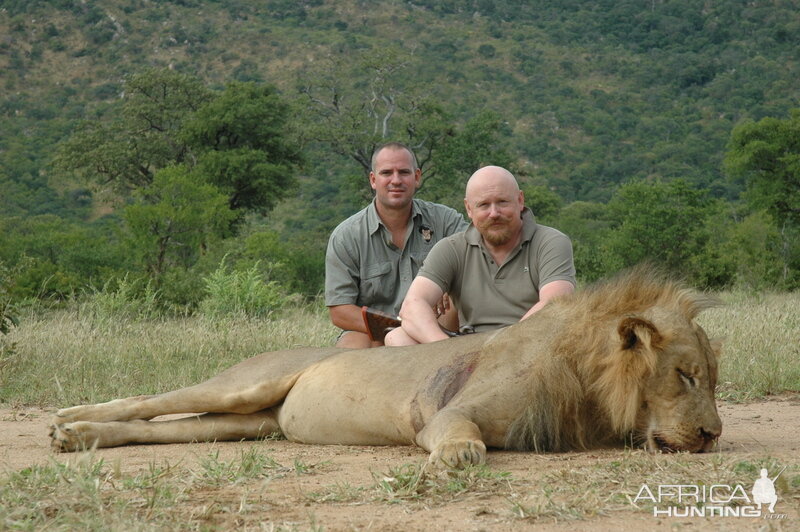 Zimbabwe Hunt Lion
