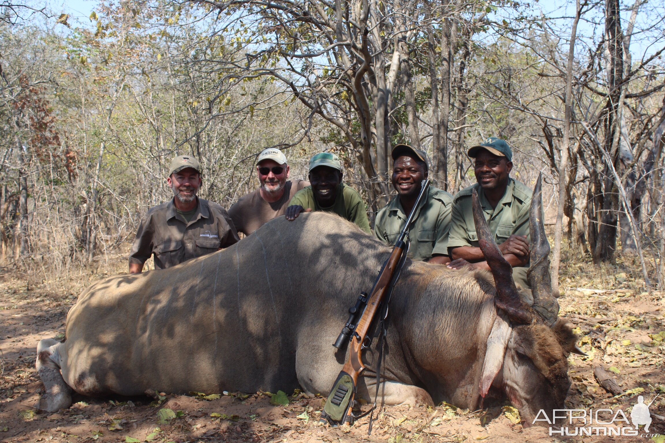 Zimbabwe  Hunt Livingstone Eland