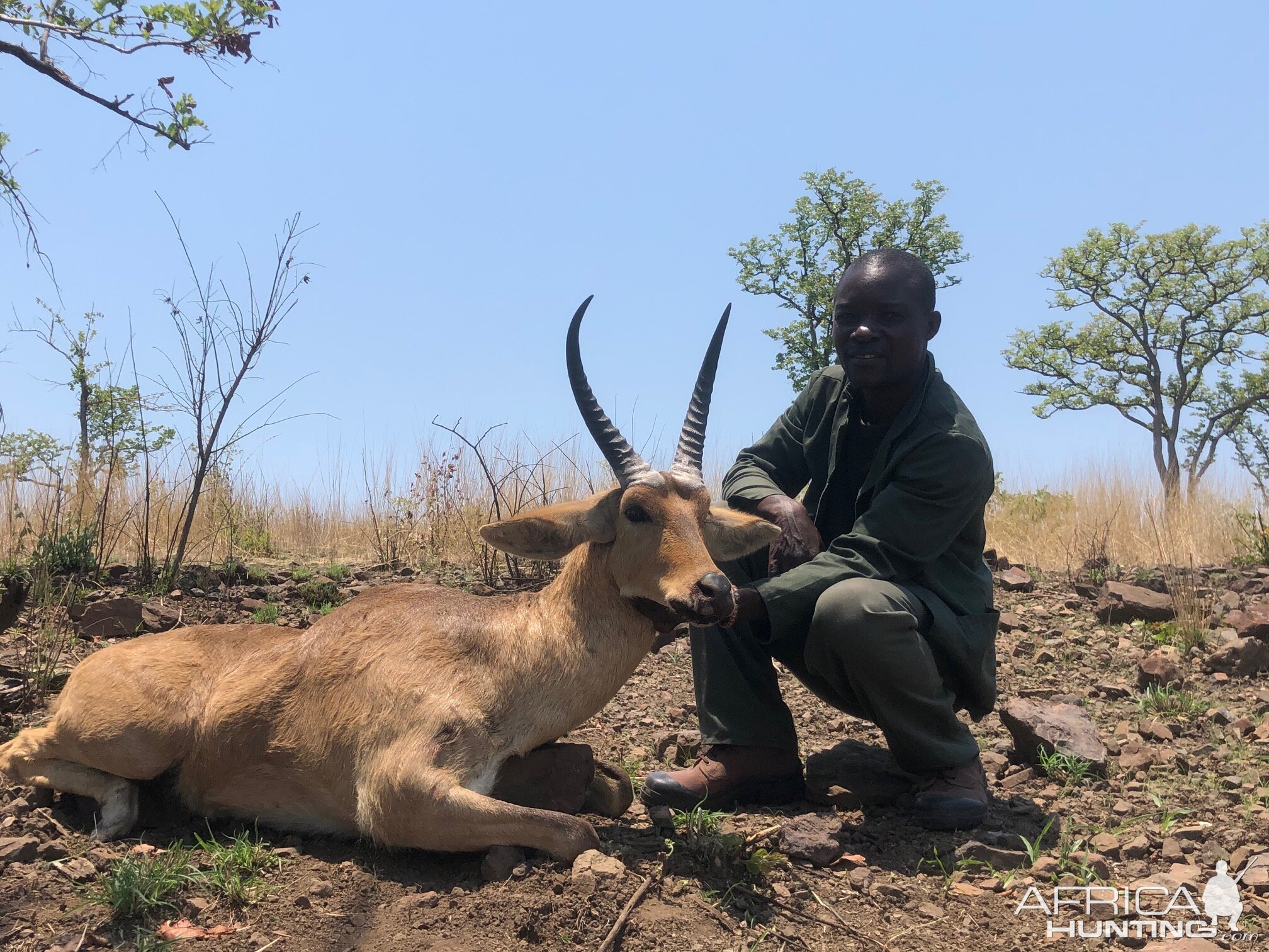 Zimbabwe Hunt Reedbuck