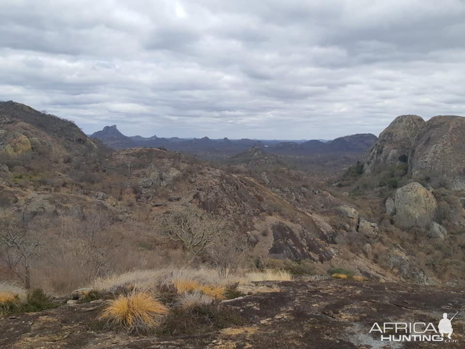 Zimbabwe Hunting Area