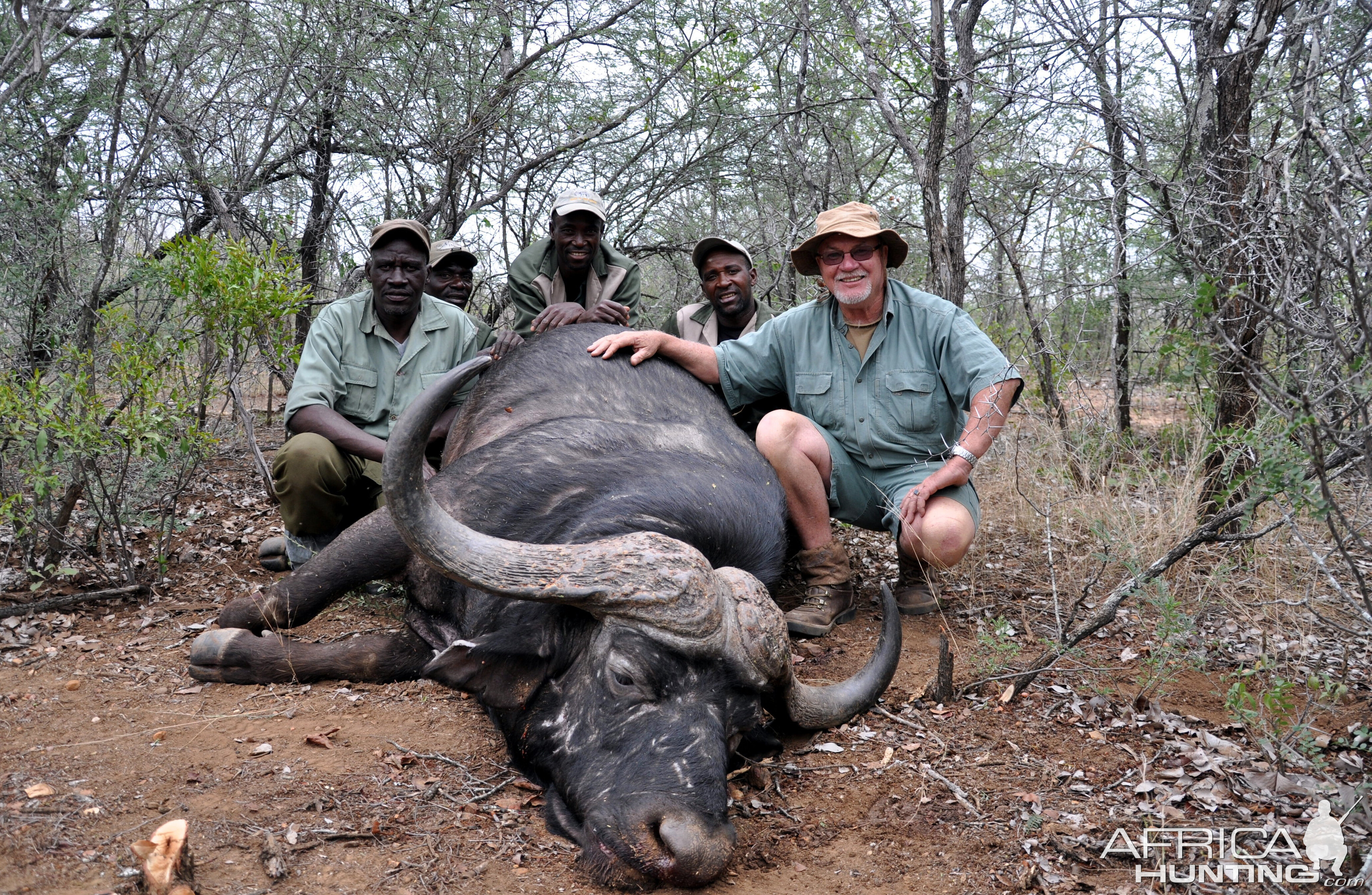 Zimbabwe Hunting Cape Buffalo