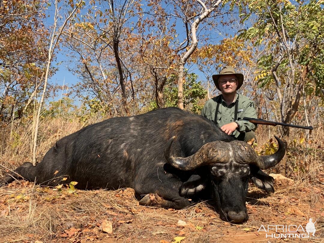 Zimbabwe Hunting Cape Buffalo