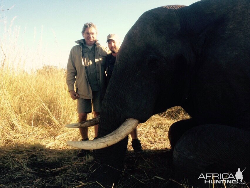 Zimbabwe Hunting Elephant