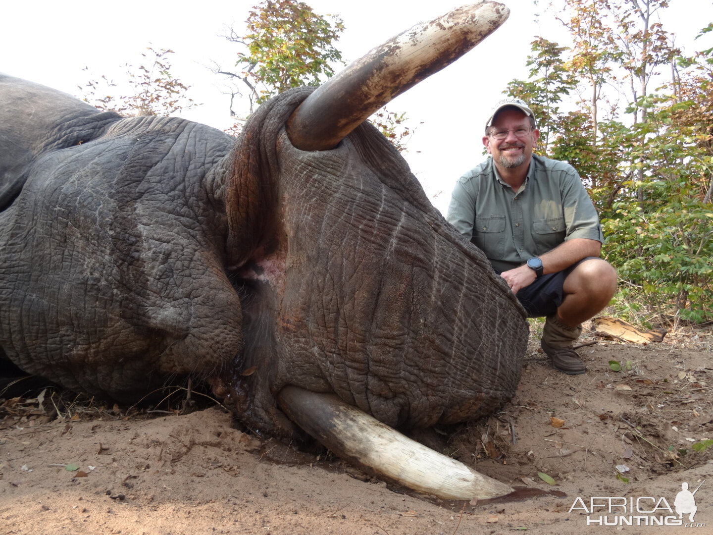 Zimbabwe Hunting Elephant