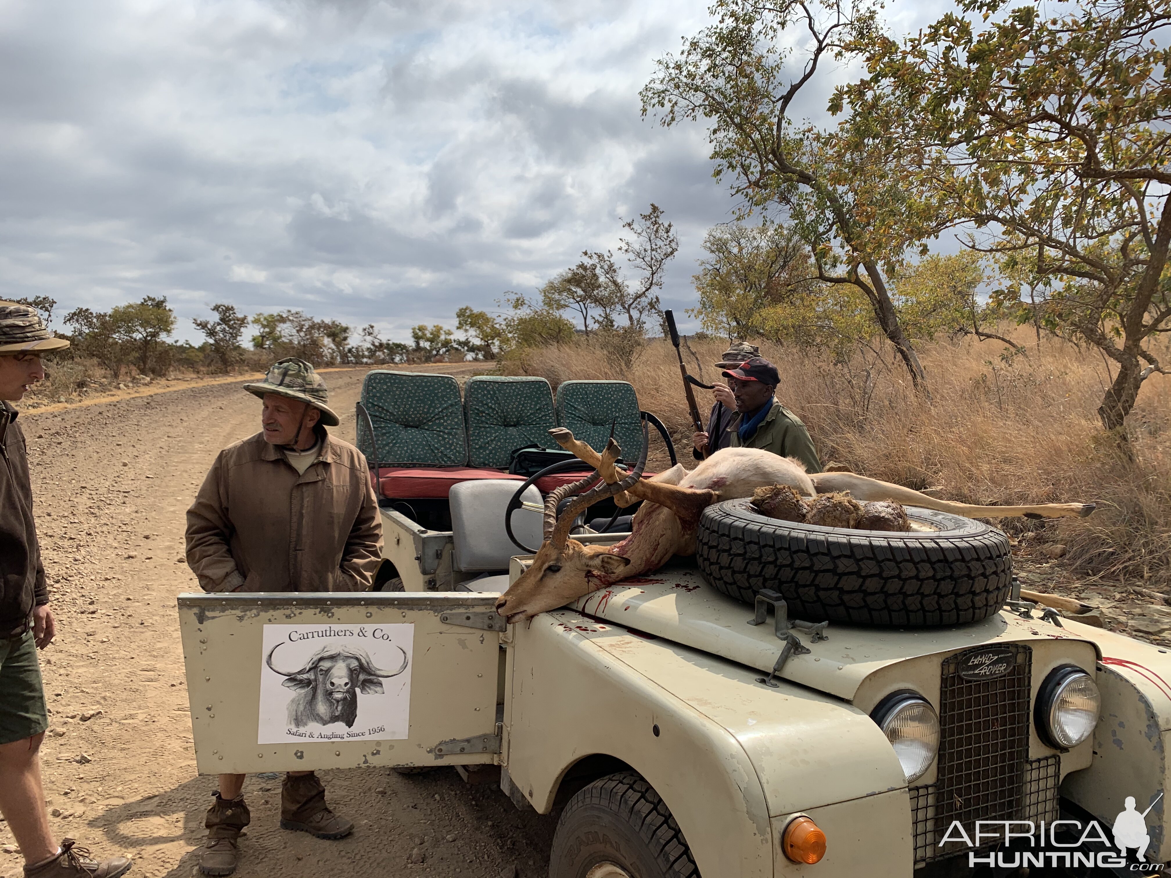 Zimbabwe Hunting Impala