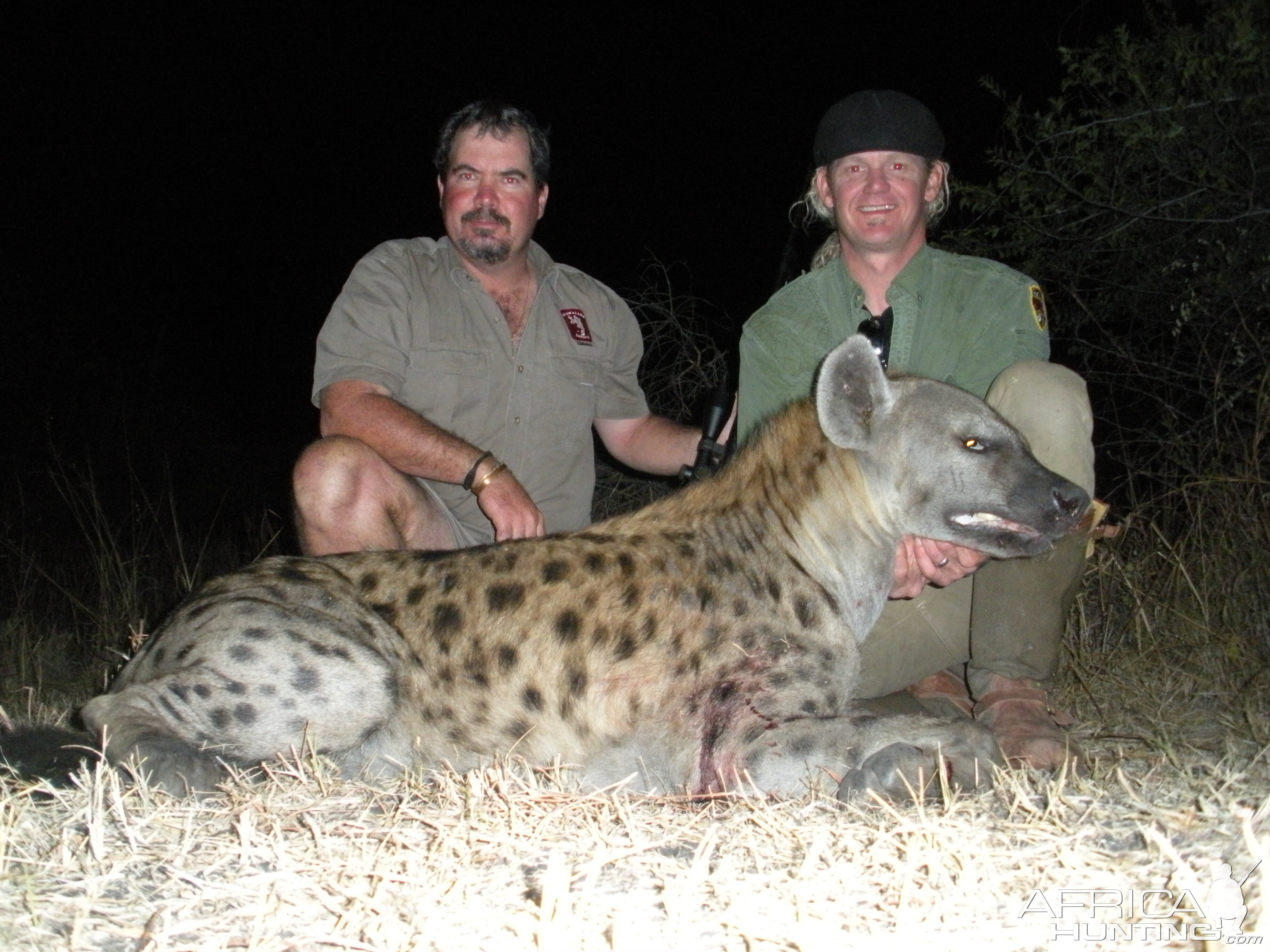 Zimbabwe Hunting Spotted Hyena