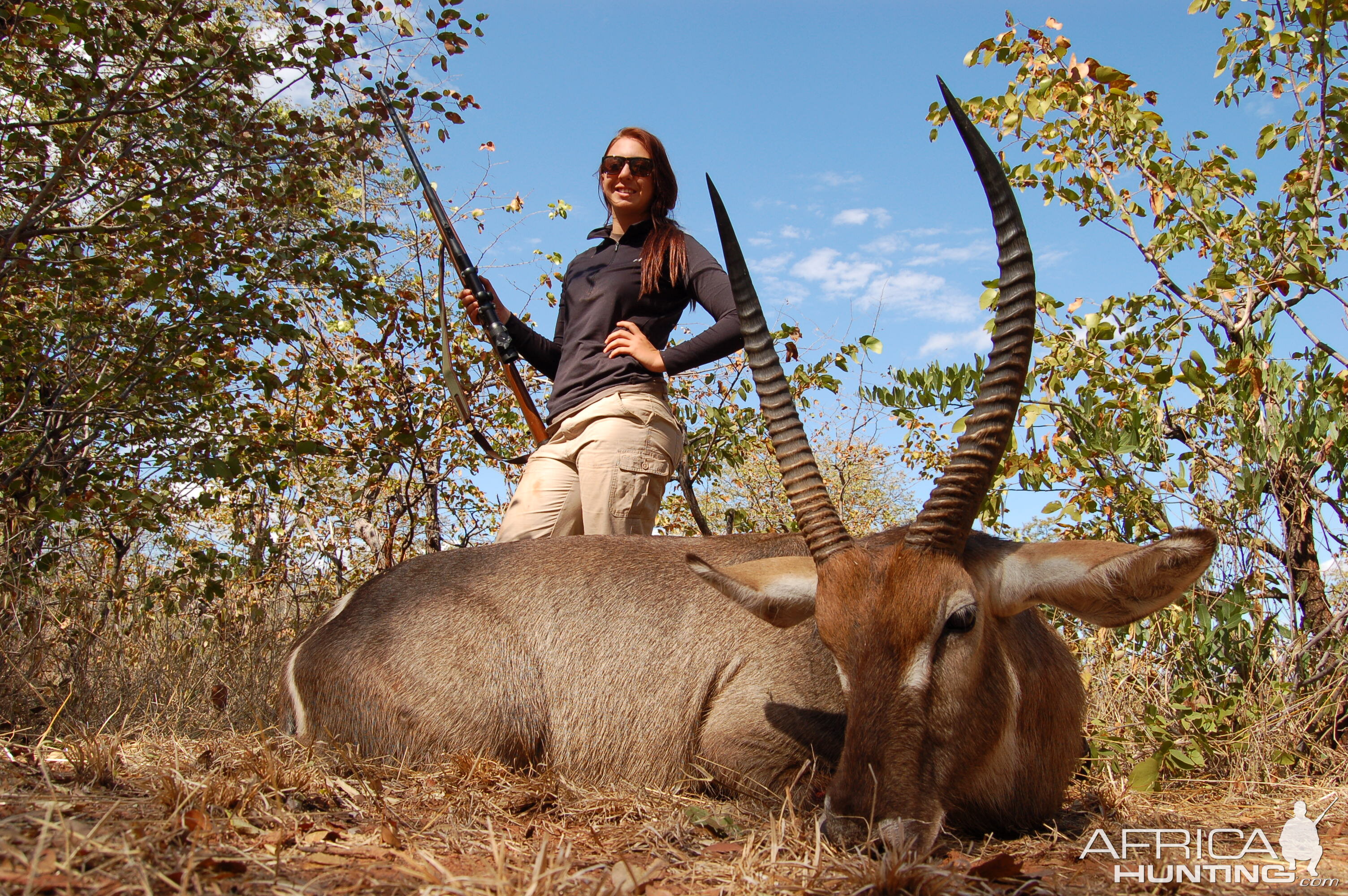 Zimbabwe Hunting Waterbuck