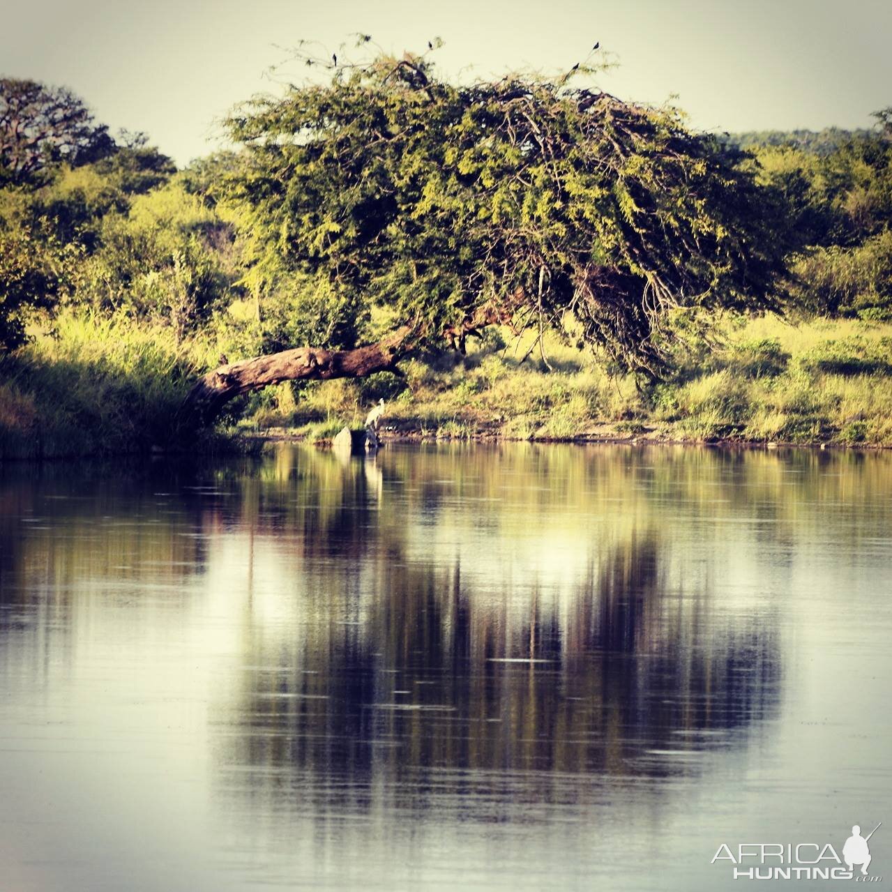 Zimbabwe Landscape