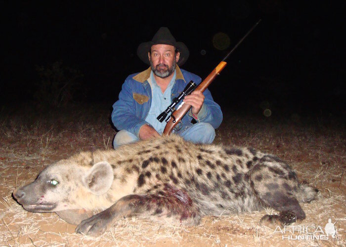 Zimbabwe Spotted Hyena Hunting