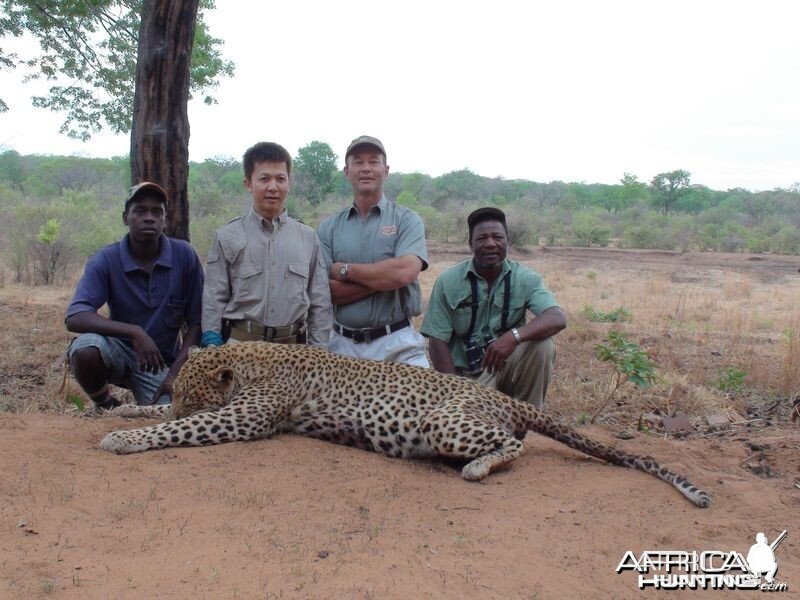 Zimbabwe's Leopard