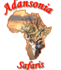 www.adansonia.co.za