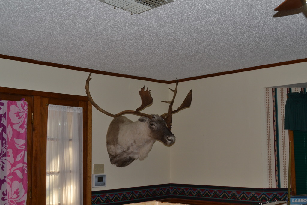 DSC_0459_zpsu2ervtqv.jpg