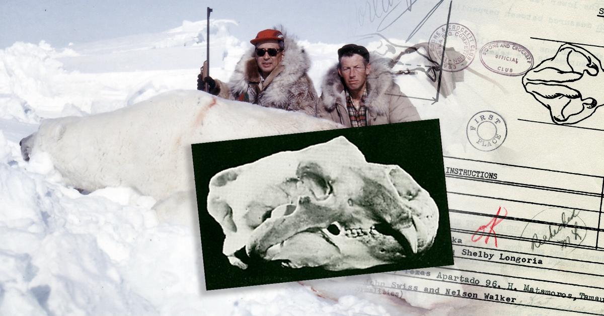 www.boone-crockett.org
