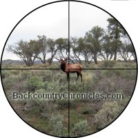 www.backcountrychronicles.com