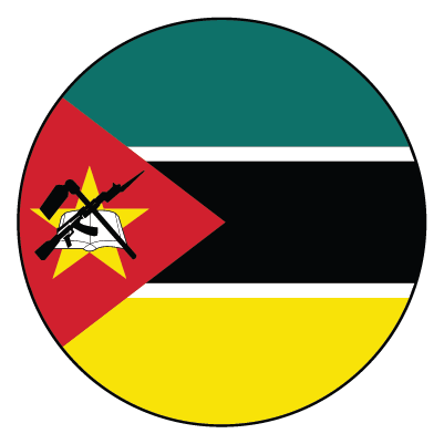 evisa.gov.mz