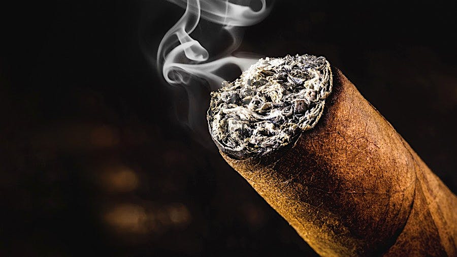 www.cigaraficionado.com