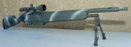 modernfirearms.net