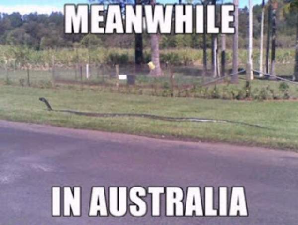 australia00.jpg