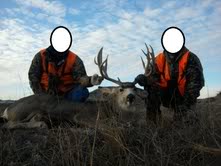 Nebraskamuledeer2.jpg