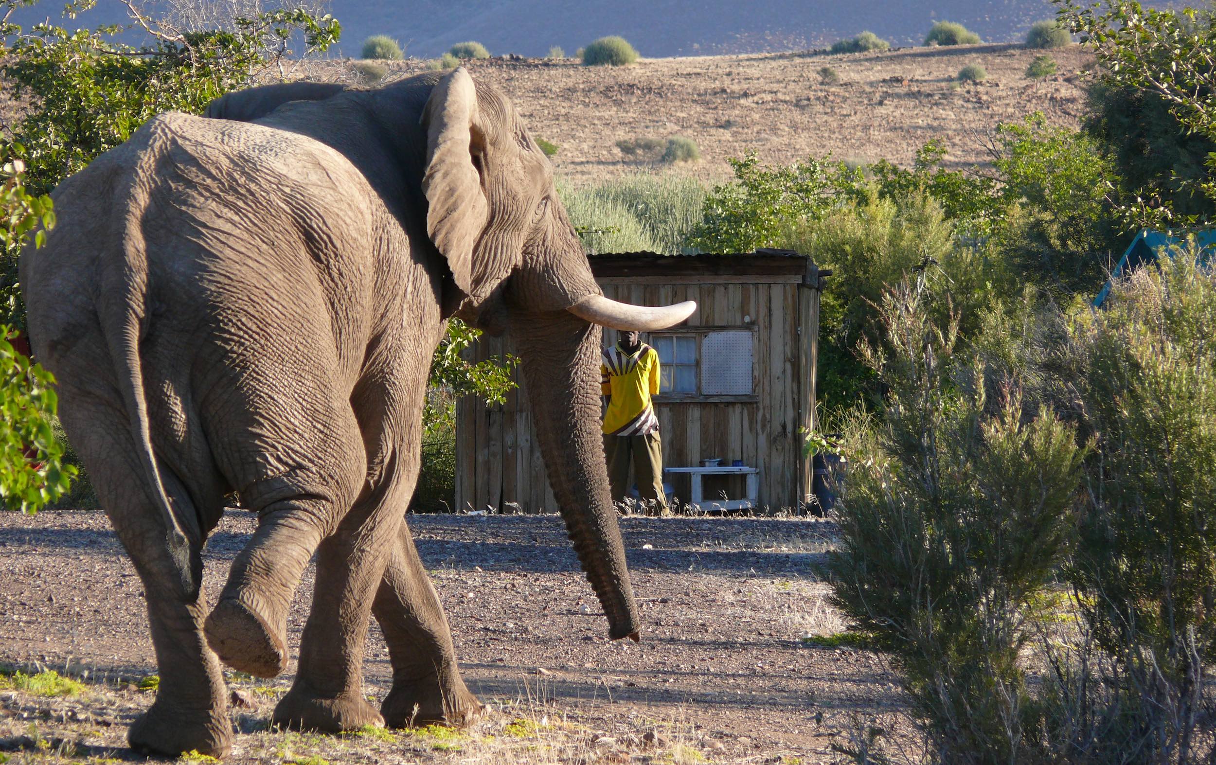 conservationnamibia.com